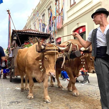Romantisches Haus In Der Historischen Altstadt Von Orotava La Orotava Ngoại thất bức ảnh