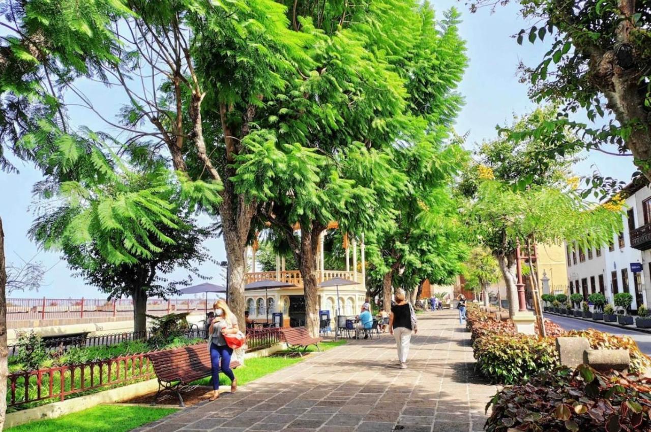 Romantisches Haus In Der Historischen Altstadt Von Orotava La Orotava Ngoại thất bức ảnh