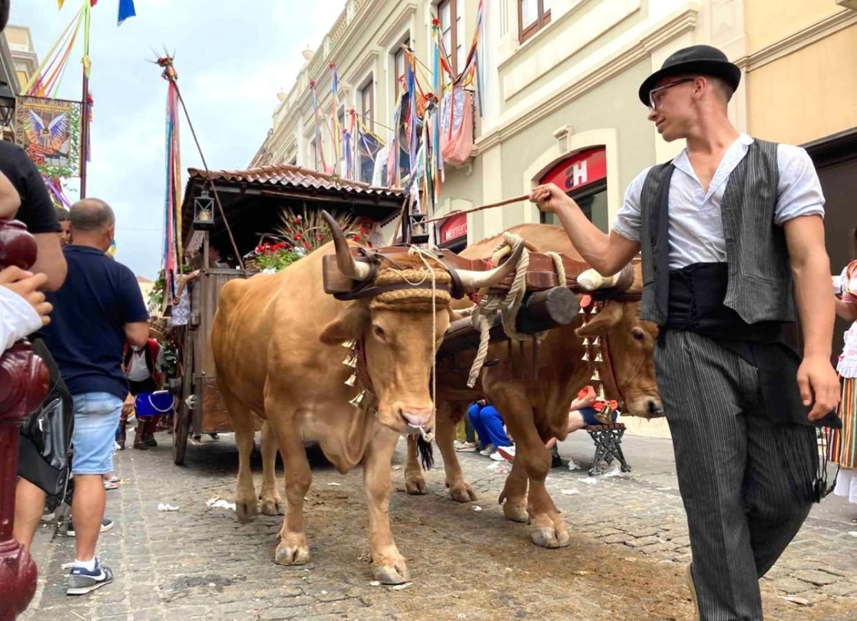 Romantisches Haus In Der Historischen Altstadt Von Orotava La Orotava Ngoại thất bức ảnh